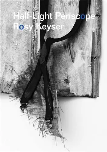 Rosy Keyser : Half-Light Periscope