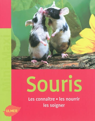 Souris : Les connaître - les nourrir - les soigner