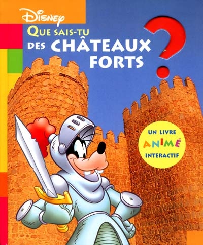 Que sais-tu des châteaux forts