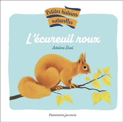 L'écureuil roux