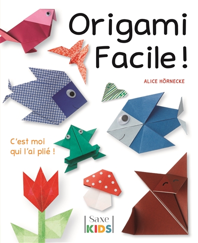 Origami facile ! : c'est moi qui l'ai plié !