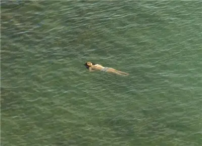 Richard Misrach Mysterious Opacity Other Beings