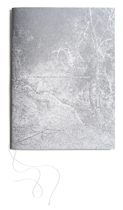 Le chant de la phalène (oraison) : exposition, Bignan, Centre d'art contemporain Domaine de Kerguéhennec, du 28 juin au 11 octobre 2020