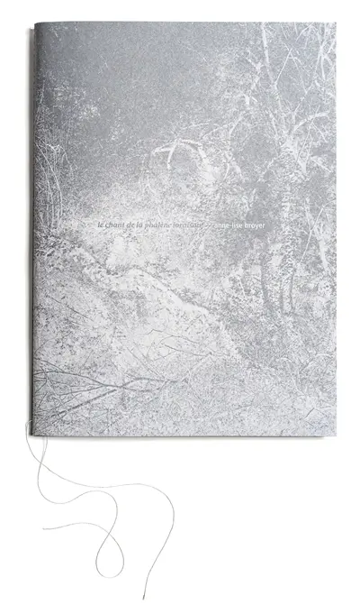 Le chant de la phalène (oraison) : exposition, Bignan, Centre d'art contemporain Domaine de Kerguéhennec, du 28 juin au 11 octobre 2020