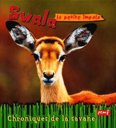 Swala, la jeune impala