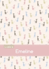 Le cahier d'Emeline :...
