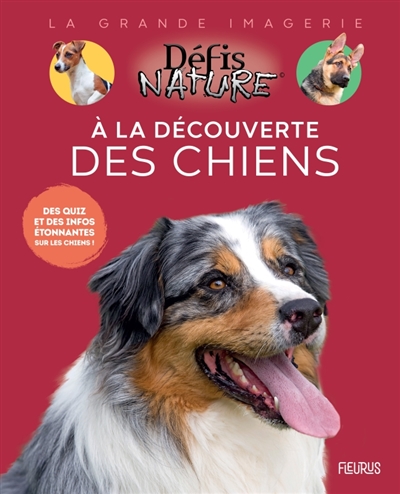 a la découverte des chiens : des quiz et des infos étonnantes sur les chiens !