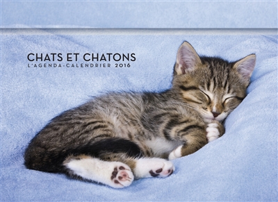 Chats et chatons : l'agenda-calendrier 2016