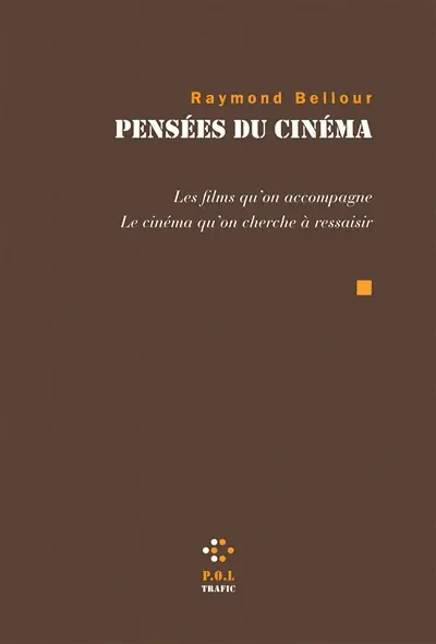 Pensées du cinéma : les films qu'on accompagne, le cinéma qu'on cherche à ressaisir