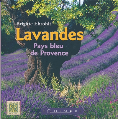 Lavandes : pays bleu de Provence