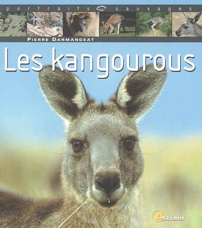 Les kangourous