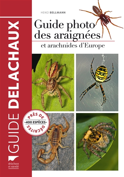 Guide photo des araignées et arachnides d'Europe : plus de 400 espèces illustrées