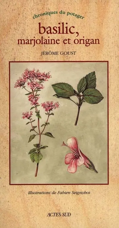 Basilic, marjolaine et origan