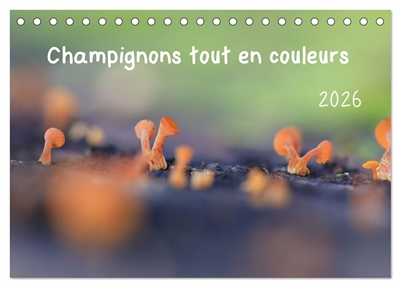 Champignons tout en couleurs (Calendrier de bureau 2026 DIN A5 vertical), CALVENDO calendrier mensuel : A la découverte des champignons aux couleurs éclatantes