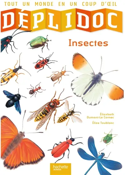 Insectes