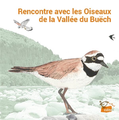 Rencontre avec les oiseaux...