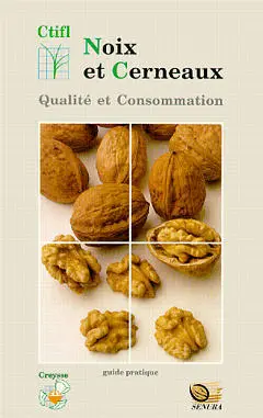 Noix et cerneaux : qualité et consommation