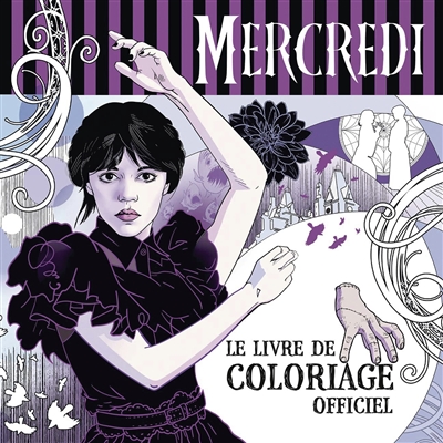 Vertical : histoire illustrée de l'escalade
