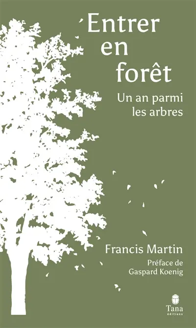 Entrer en forêt : un an parmi les arbres