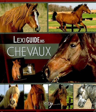 Lexiguide des chevaux