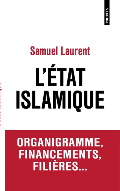 L'Etat islamique : organigramme, financements, filières...