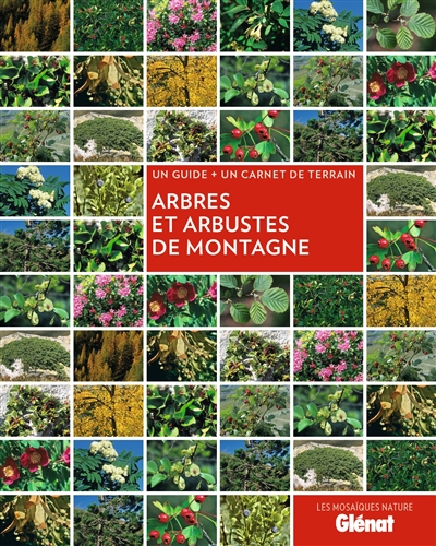 Arbres et arbustes de montagne : un guide + un carnet de terrain