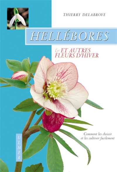 Héllébores & autres fleurs d'hiver