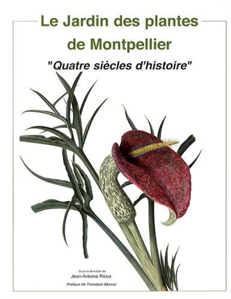 Le jardin des plantes de Montpellier : quatre siècles d'histoire