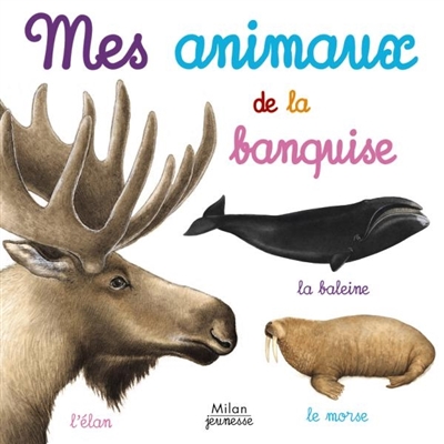 Mes animaux de la banquise