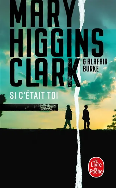Si c'était toi