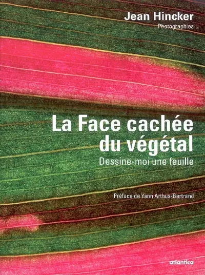 La face cachée du végétal : dessine-moi une feuille