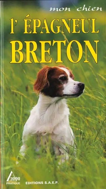 L'épagneul breton
