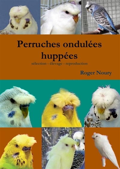 Les perruches ondulées...