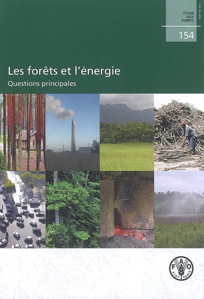 Les forêts et l'énergie : questions principales
