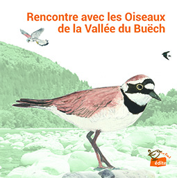 Rencontre avec les oiseaux...