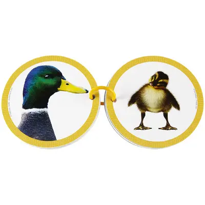 Animages, animaux familiers : lot de 2