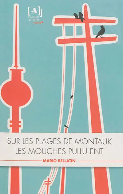 Sur les plages de Montauk les mouches pullulent