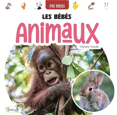 Les bébés animaux