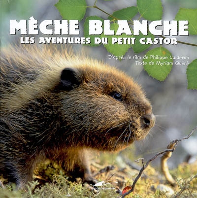 Mèche Blanche Les Aventures du Petit Castor