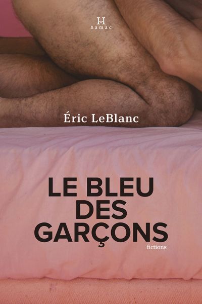 Le bleu des garçons : fictions