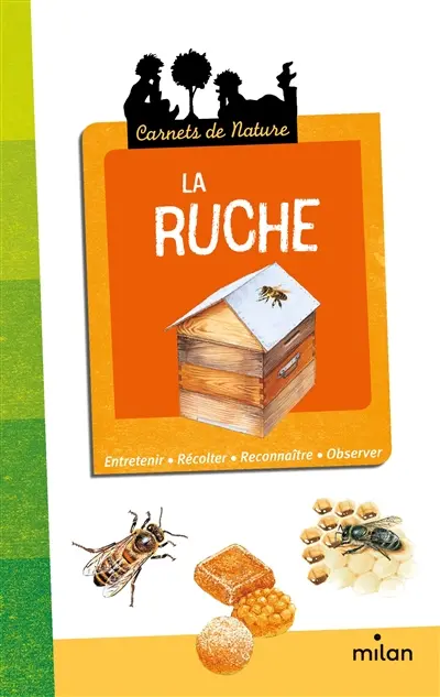 La ruche : entretenir, récolter, reconnaître, observer