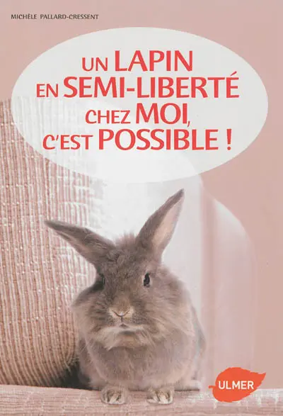 Un lapin en semi-liberté chez moi, c'est possible !