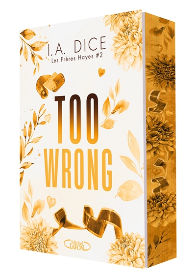 Les frères Hayes. Vol. 2. Too wrong