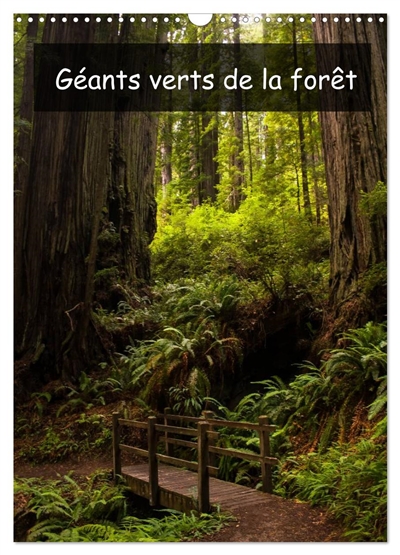Géants verts de la forêt...