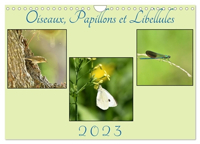 Oiseaux, Papillons et Libellules (Calendrier mural 2025 DIN A4 vertical), CALVENDO calendrier mensuel : Une année en compagnie de petits êtres de la nature