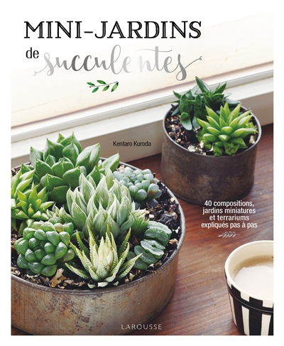 Mini-jardins de succulentes : 40 compositions, jardins miniatures et terrariums expliqués pas à pas