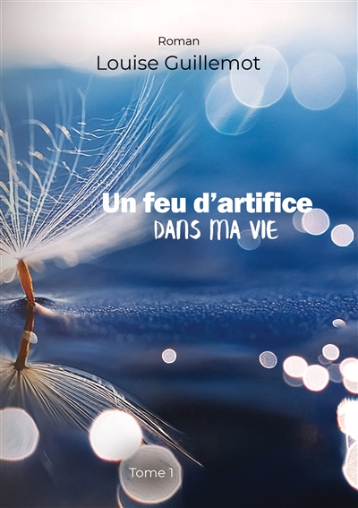 Un feu d'artifice dans ma vie : Tome 1 : Foncer ou s'enfoncer