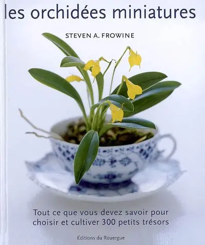 Les orchidées miniatures : tout ce que vous devez savoir pour choisir et cultiver 300 petits trésors