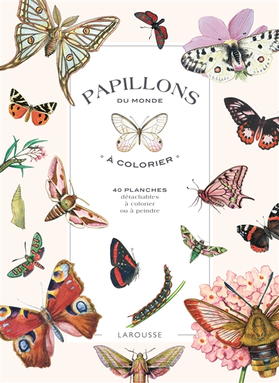 Papillons du monde à colorier : 40 planches détachables à colorier ou à peindre
