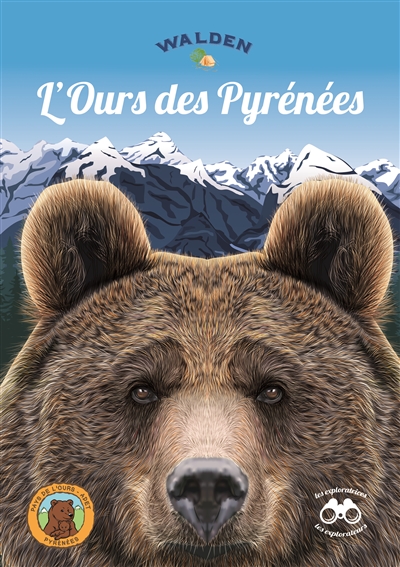 L'ours des Pyrénées